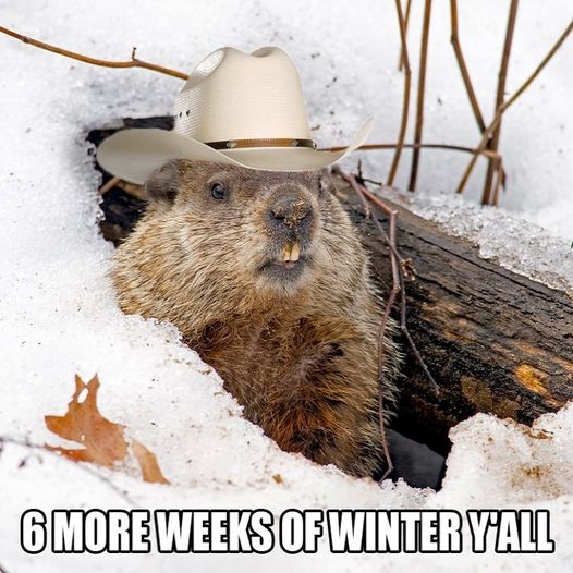 He saw his shadow this morning!
 
#GroundhogDay2021