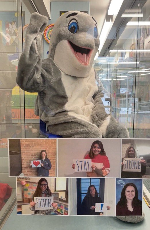 Fierce Dolphin tweet media