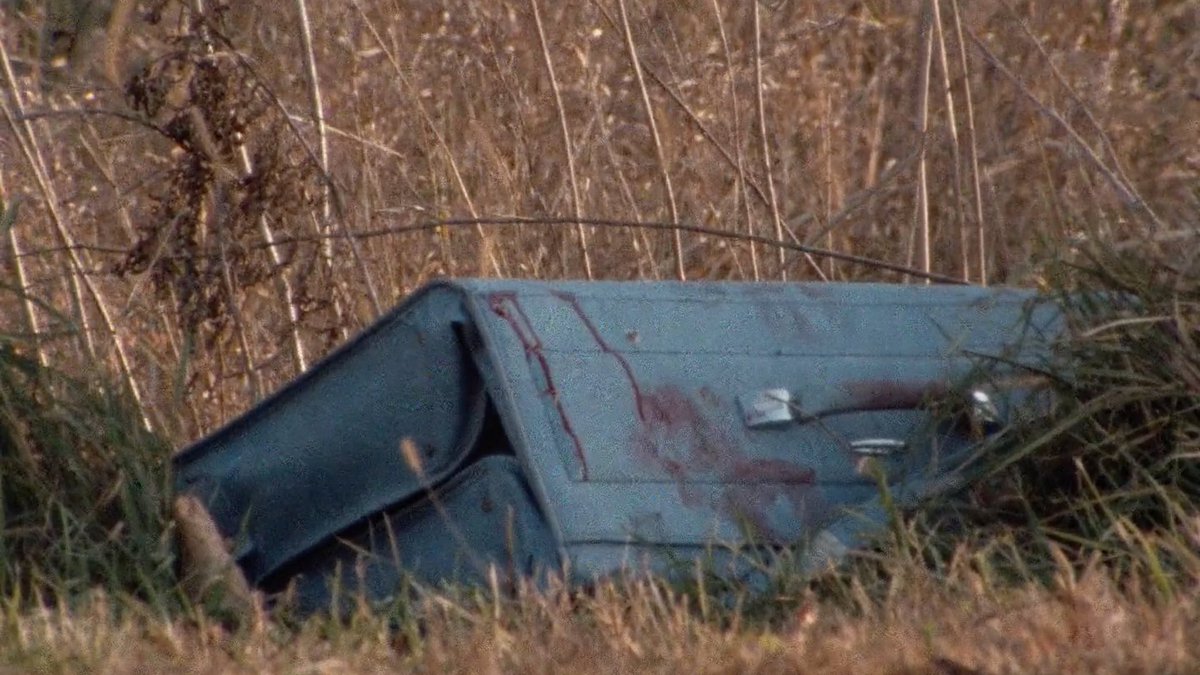 HENRY: PORTRAIT OF A SERIAL KILLER (McNaughton, 1986)