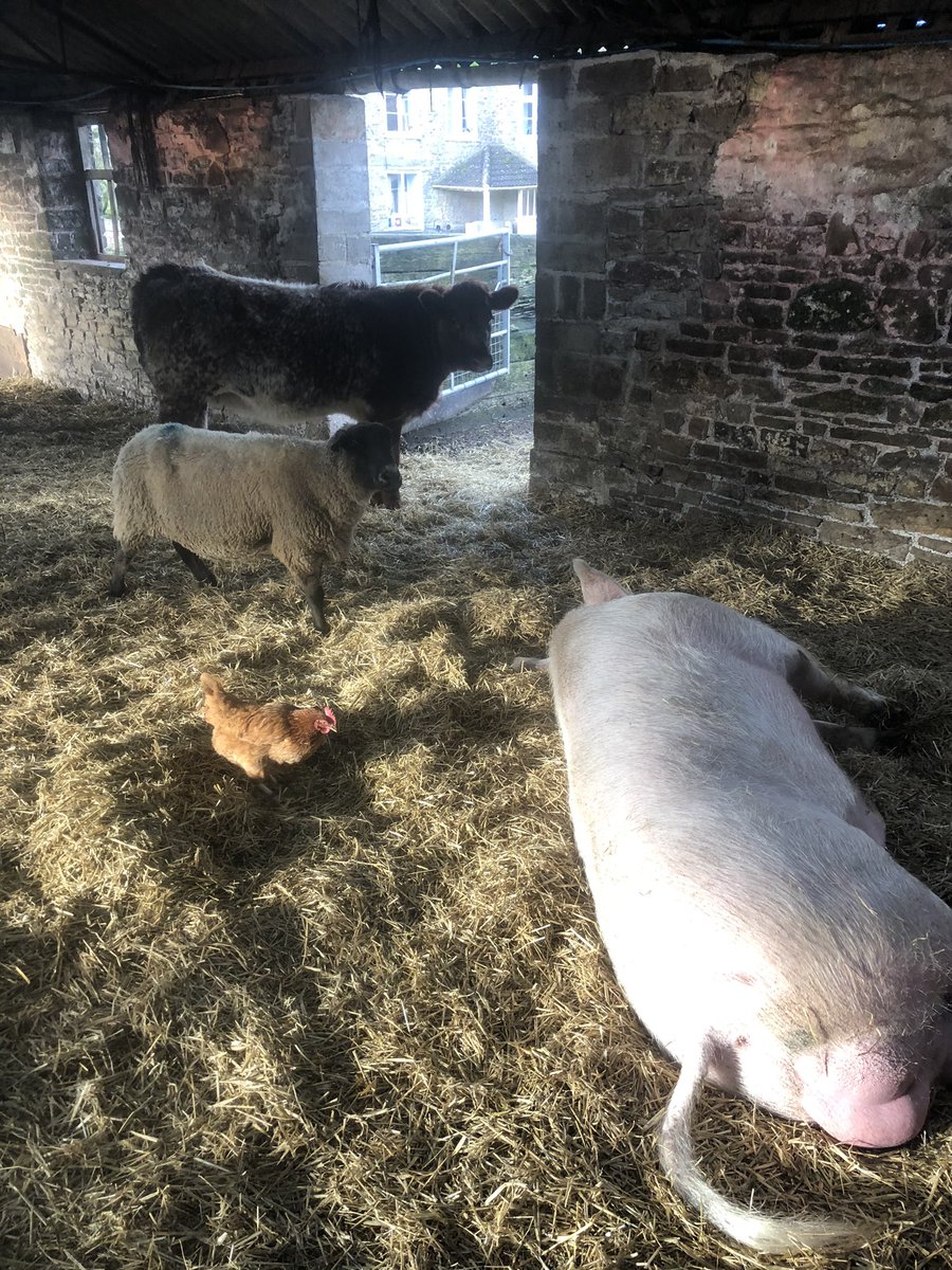 Tim Hancock tweet media