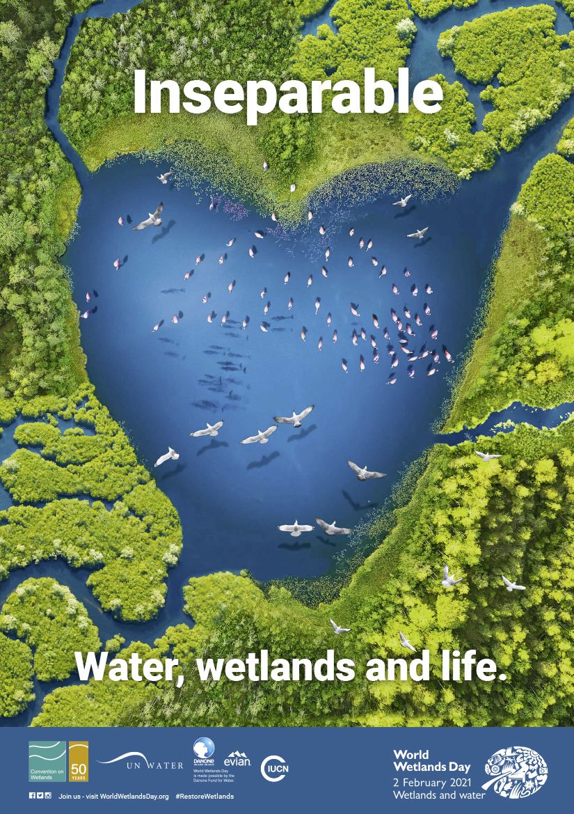 It's #WorldWetlandsDay! Wetlands provide a home for many animals while also providing a natural solution to climate change. Coastal wetlands such as salt marshes and seagrass beds represent some of the biggest carbon stores on earth! 🌱💙

Read more 👇worldwetlandsday.org/story/-/detail…