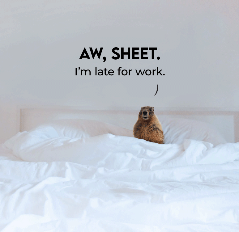 With bedding this comfy, getting out of bed may be difficult. #GetYourSheetTogether 
Shop now at QuickZip.com