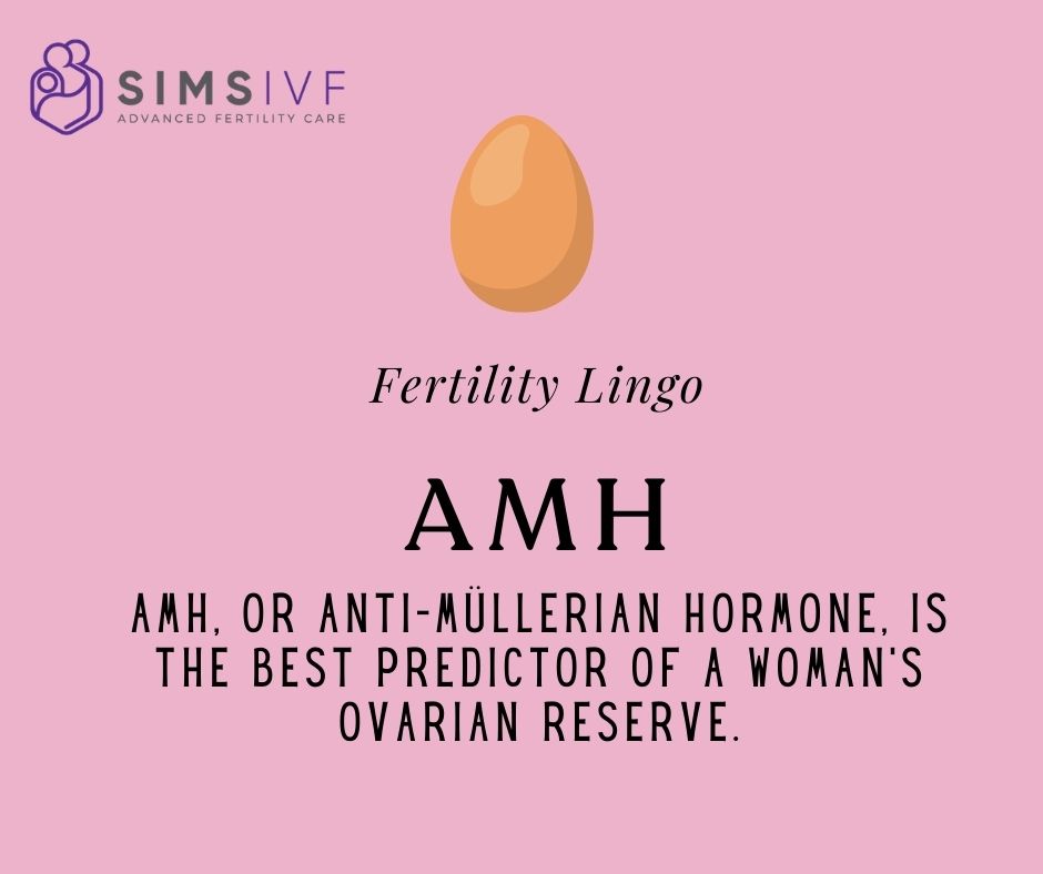 simsivf's tweet image. The AMH test is often used as a first port of call to test female fertility. 
#amhtest #fertilitytest #fertility