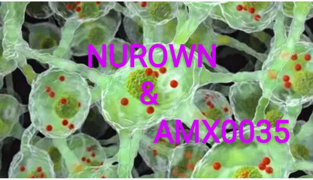 We beg, we demand to receive approval of #alstreatmentsnow in the first quarter of 2021.WE CANNOT WAIT ANY MORE.ENOUGH!! #NUROWN #AMX0035 <a href="/BrainstormCell/">BrainStorm</a> <a href="/AmylyxPharma/">Amylyx</a> <a href="/US_FDA/">U.S. FDA</a> <a href="/EMA_News/">EU Medicines Agency</a>  <a href="/DrWoodcockFDA/">Dr. Janet Woodcock</a>  <a href="/SKyriakidesEU/">Stella Kyriakides</a> <a href="/vonderleyen/">Ursula von der Leyen</a> <a href="/Cylebo/">C Lebovits</a> <a href="/MaryKayTurner1/">Mary Kay Turner</a>