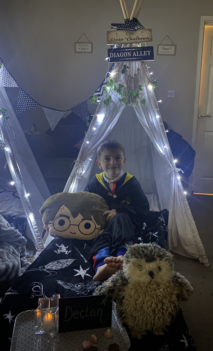 Katesta840's tweet photo. 3 very happy babies tonight. Harry Potter marathon here we go. My Slytherin my Gryffindor and my little Hufflepuff https://t.co/IEAaenu6Bk