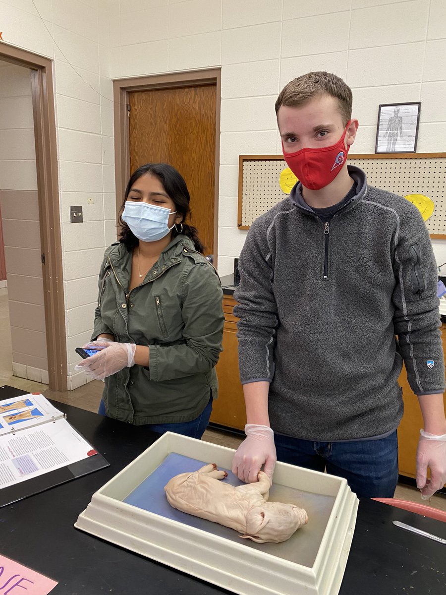 Masks, gloves, scalpels...ready for the OR someday! 😷🧑‍⚕️