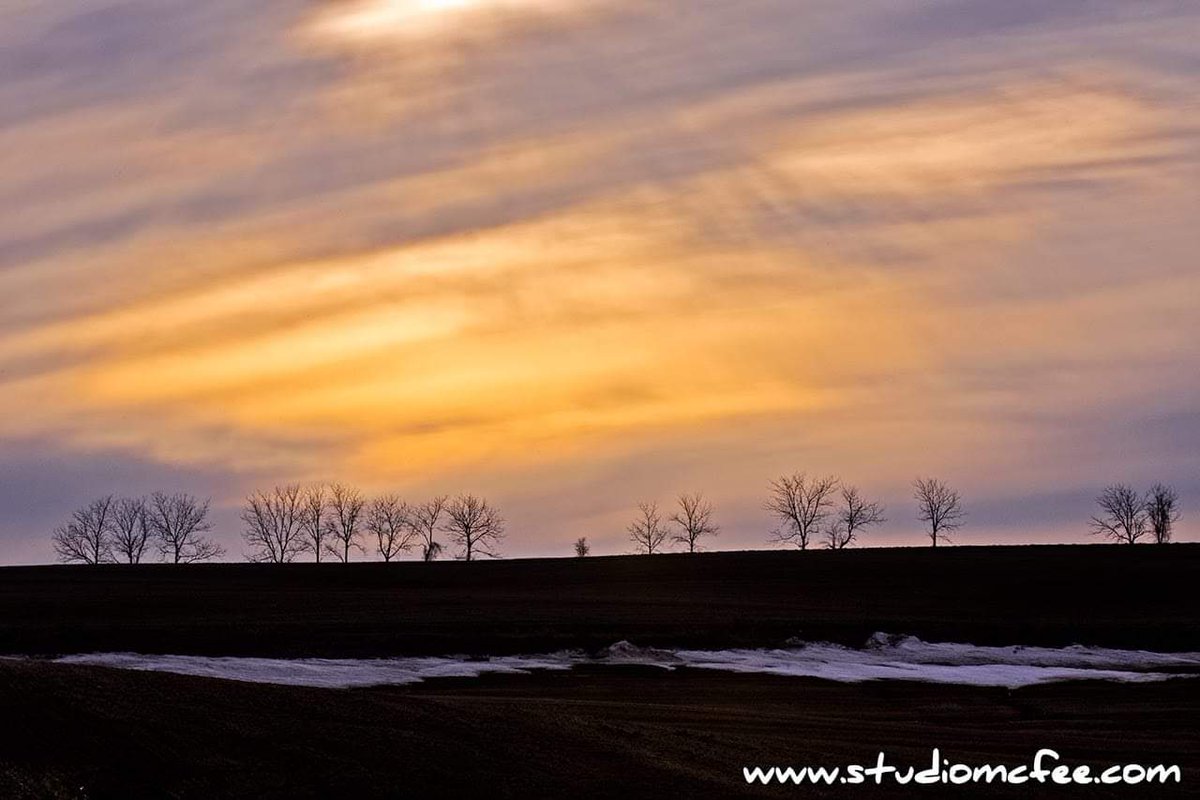 Studio McFee tweet media