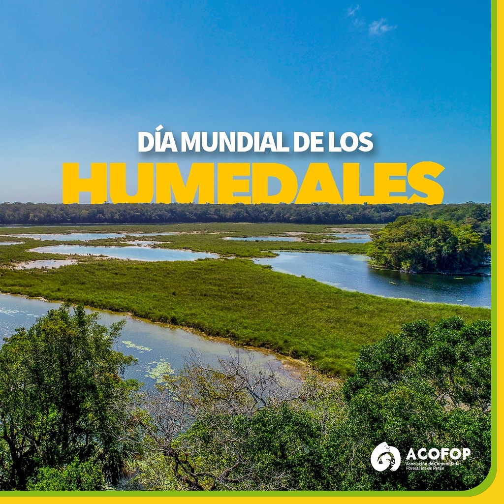 ACOFOP's tweet photo. Es salud, es alegría, es paz…el agua es vida!!!
2 de febrero, día mundial del humedal. 

Lugar: Puerto Arturo, Carmelita, San Andrés, Petén.

#somosbosquesparasiempre #vida #naturaleza #agua #fotografiadepaisaje #bellezanatural #salud https://t.co/65MSHw6uIJ