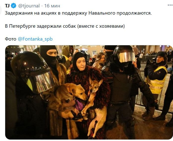 Степень моего охуения зашкаливает ((. Коляски с детьми на митингах видел, демократы грудничками прикрывались от дубинок ОМОНА. Но всю свору домашних собачек тащить на митинг? Чтобы собачки вашу личную жопу прикрыли? Не уверен, что вы лучше собак, демократы вы наши