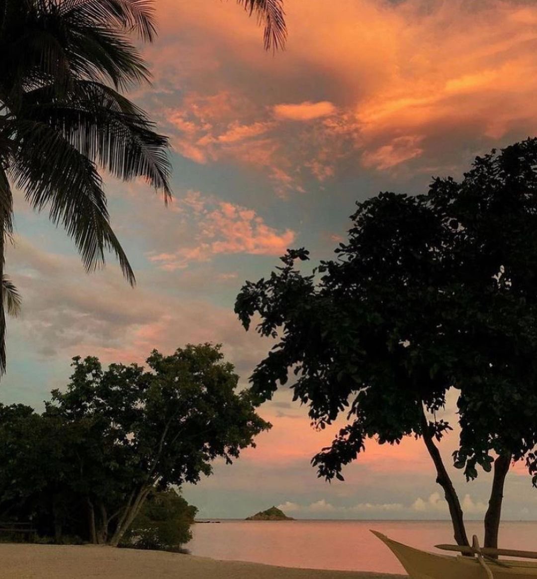 chloe (@ntmorleys) / X