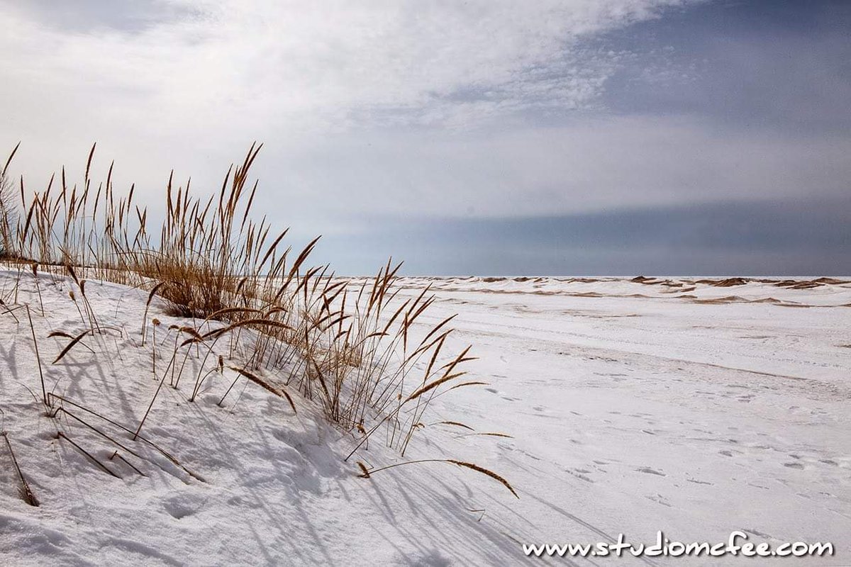 Studio McFee tweet media