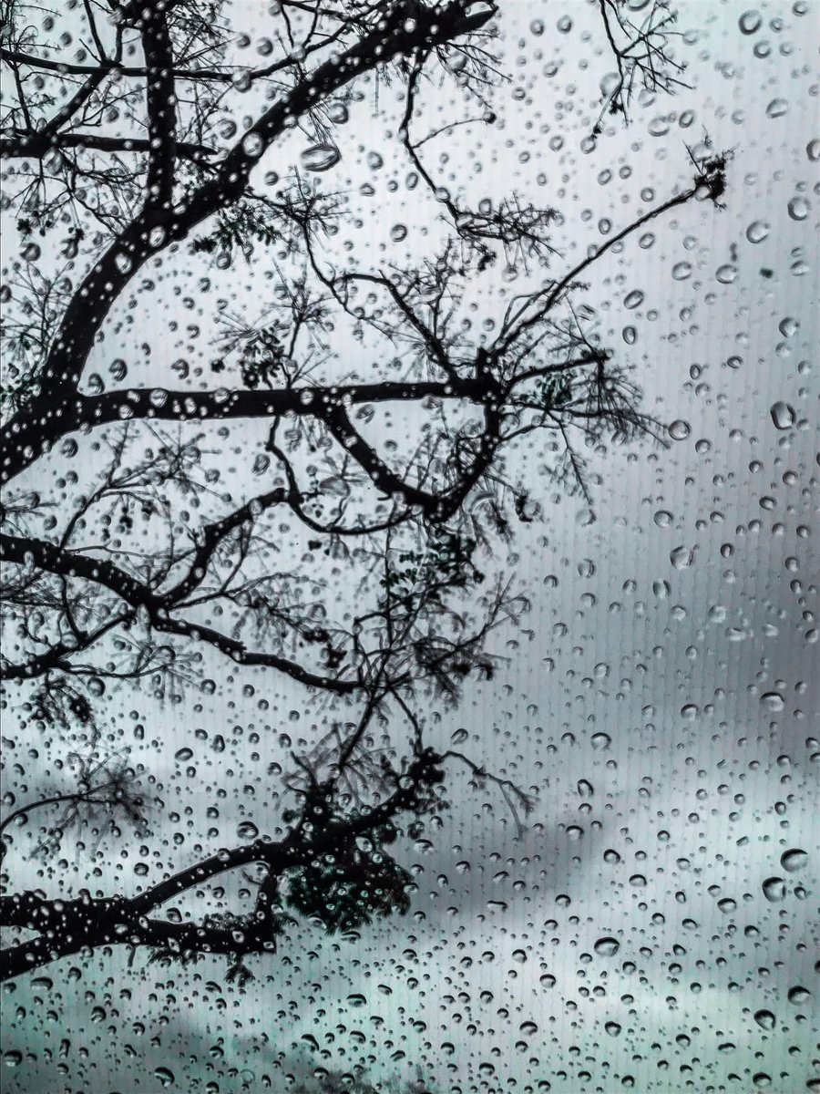 POPStheclub's tweet photo. Rain by Alba Navas
Click the link below to get a copy of Dream Catchers, our latest anthology featuring work by Alba and other Pops the Clubs members.
https://t.co/Fj2LZbEjvY
#PopsTheClub #Art #AlbaNavas #Photography #Poetry #SupportPops #DreamCatchers https://t.co/hw2jhBJzqx