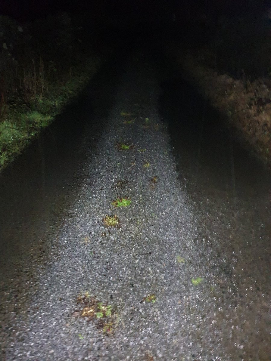 Janeuimhainin's tweet photo. Lá 33. Siúlóid déanta go drogallach anocht. #leisce #100daysofwalking  #100láagsiúl https://t.co/veGYGN6Mmk