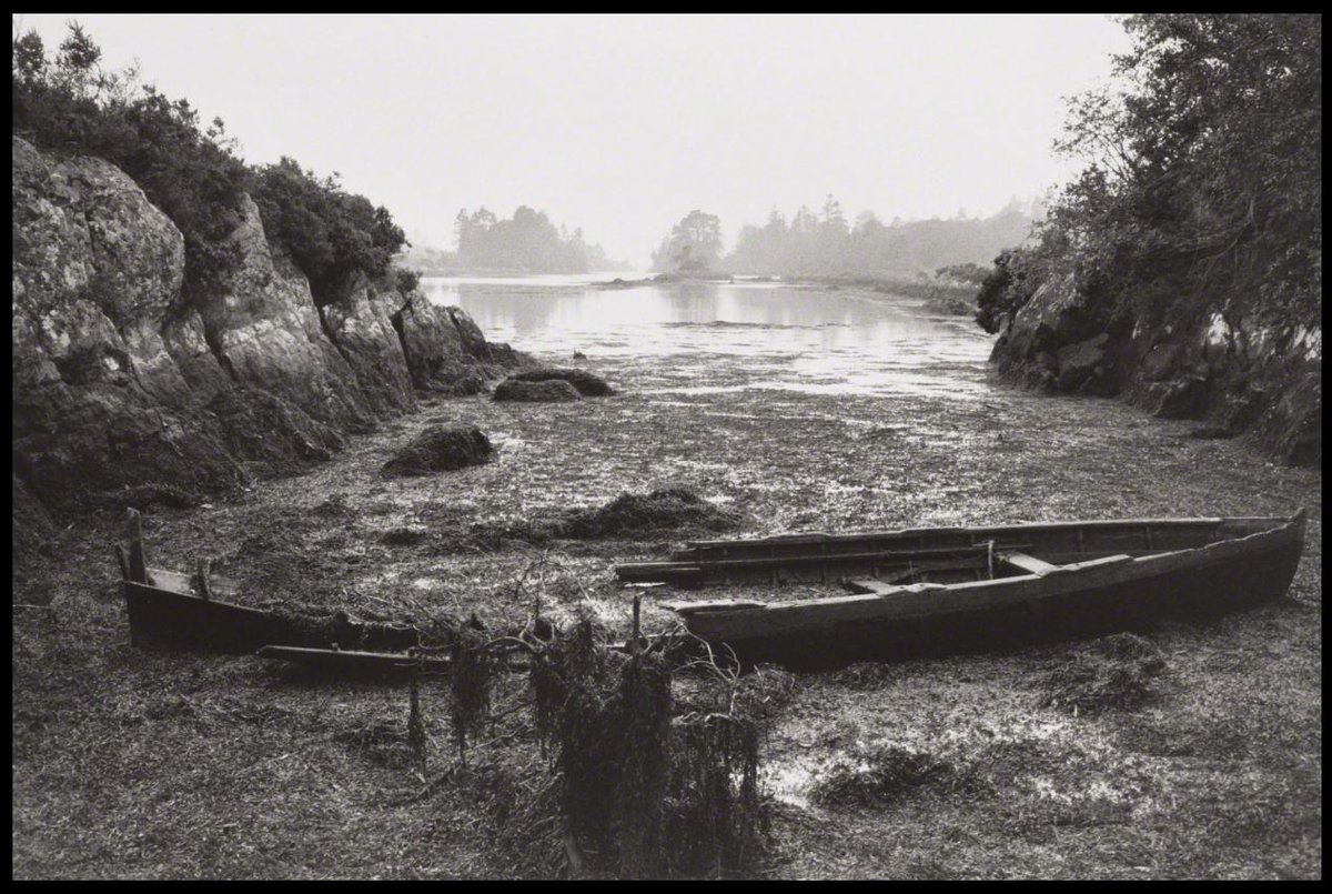 A photograph "Near Bantry, County Kerry, Ireland, 1962" by Henri Cartier-Bresson used by  @libe to illustrate coverage of my 2004  @PNASNews paper, global effects of sulfur deposition on wetland methane emissions in the 20th & 21st Centuries  #worldwetlandsday  #blastfromthepast 1/n