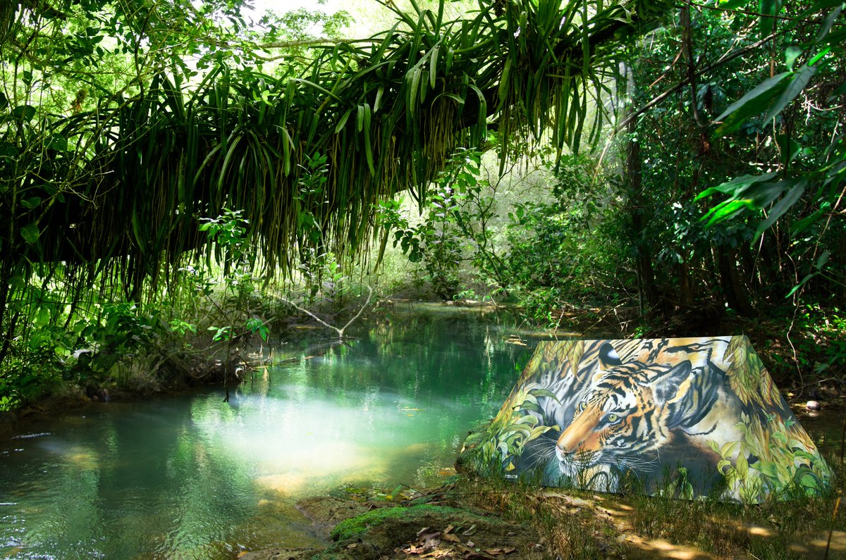 We have a range of 2 man Original Explorer Tents on sale now! 

Head over to our website to grab some incredible deals 🤩 tents starting at £199 

terra-nova.co.uk/fieldcandy-nav…
#tents #camping #fieldcandy #sale #outdoors