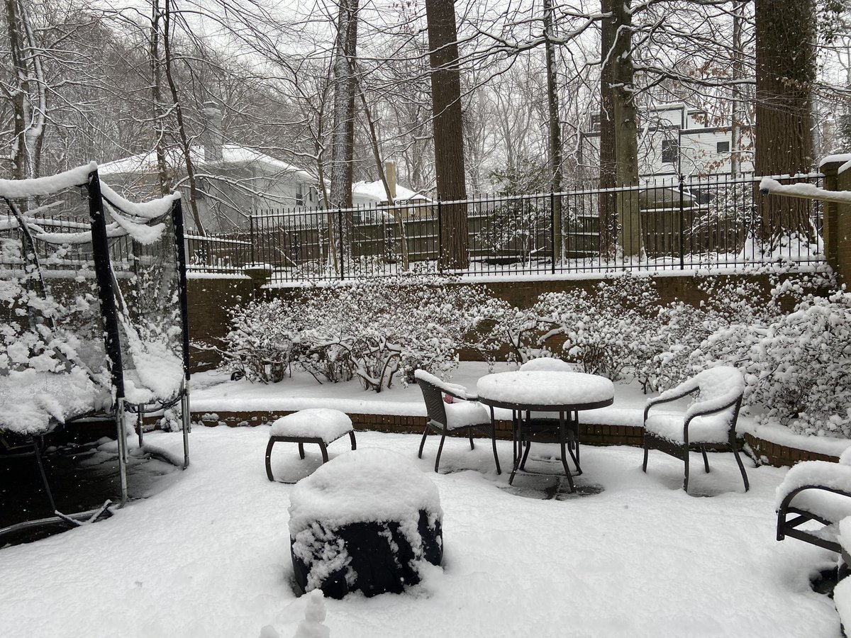 medelapena's tweet photo. Lovely morning in #DC #SnowDay #Fun https://t.co/QyDcs3ATkM