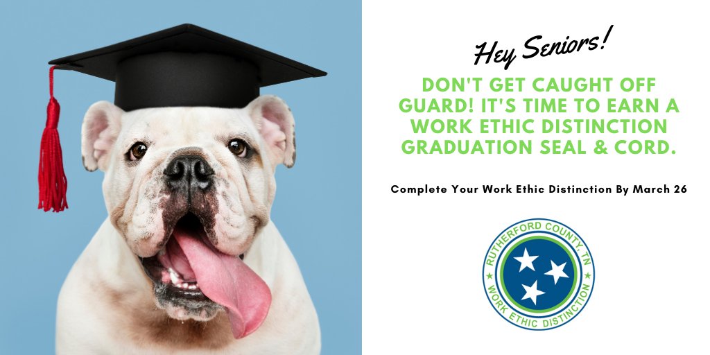 RuthWorksTN's tweet photo. High School Seniors- the Work Ethic Distinction employer list is expanding! Companies across TN now recognize the credential! So, whether you're moving across the state for school or adventure, you're setting yourself up for success by securing this seal. https://t.co/rUMD7Ijue7 https://t.co/90NcxR5zeA