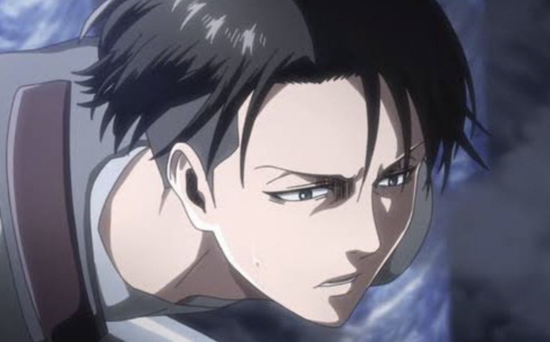hourly levi tweet media
