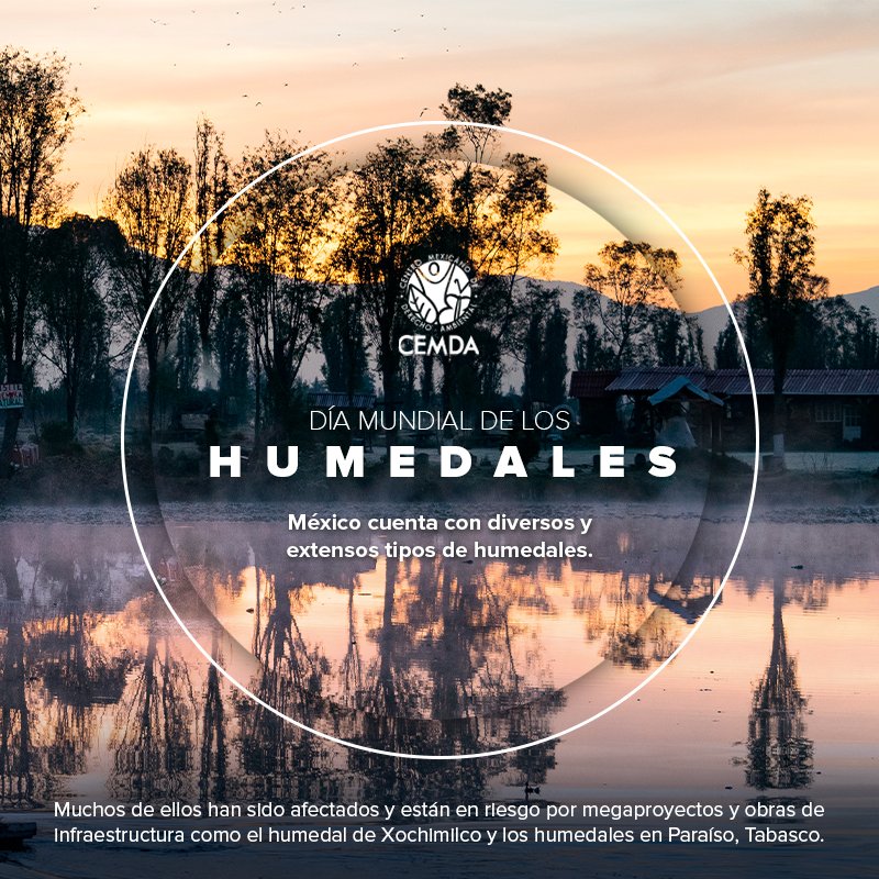 CEMDA's tweet photo. Muchos #humedales en México están en riesgo o han sido afectados por megaproyectos como Dos Bocas o el puente vehicular Periférico Sur y Canal Nacional en Xochimilco. #DiaMundialDeLosHumedales https://t.co/BhhnQyKPAA