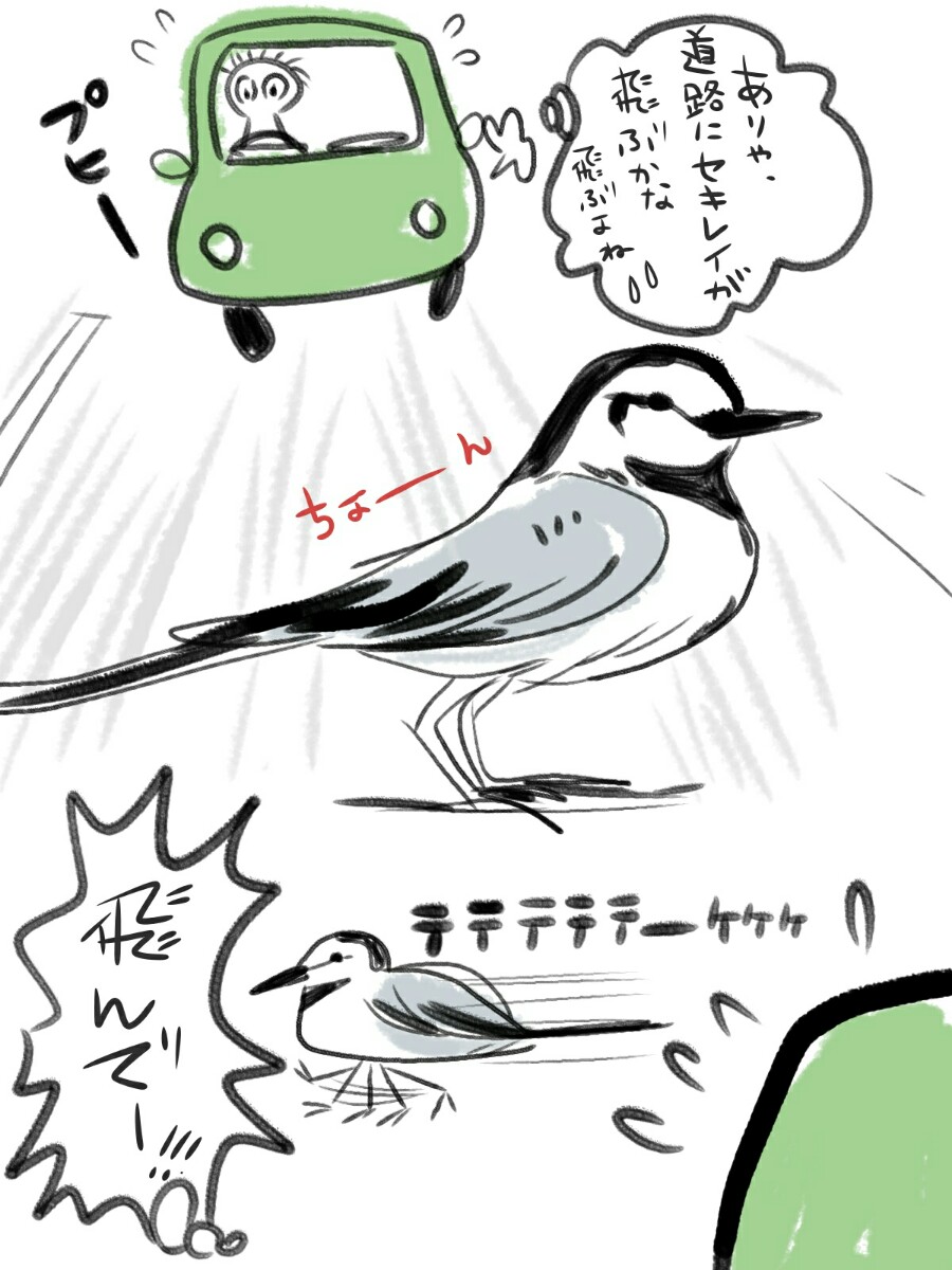 飛ばないね〜 