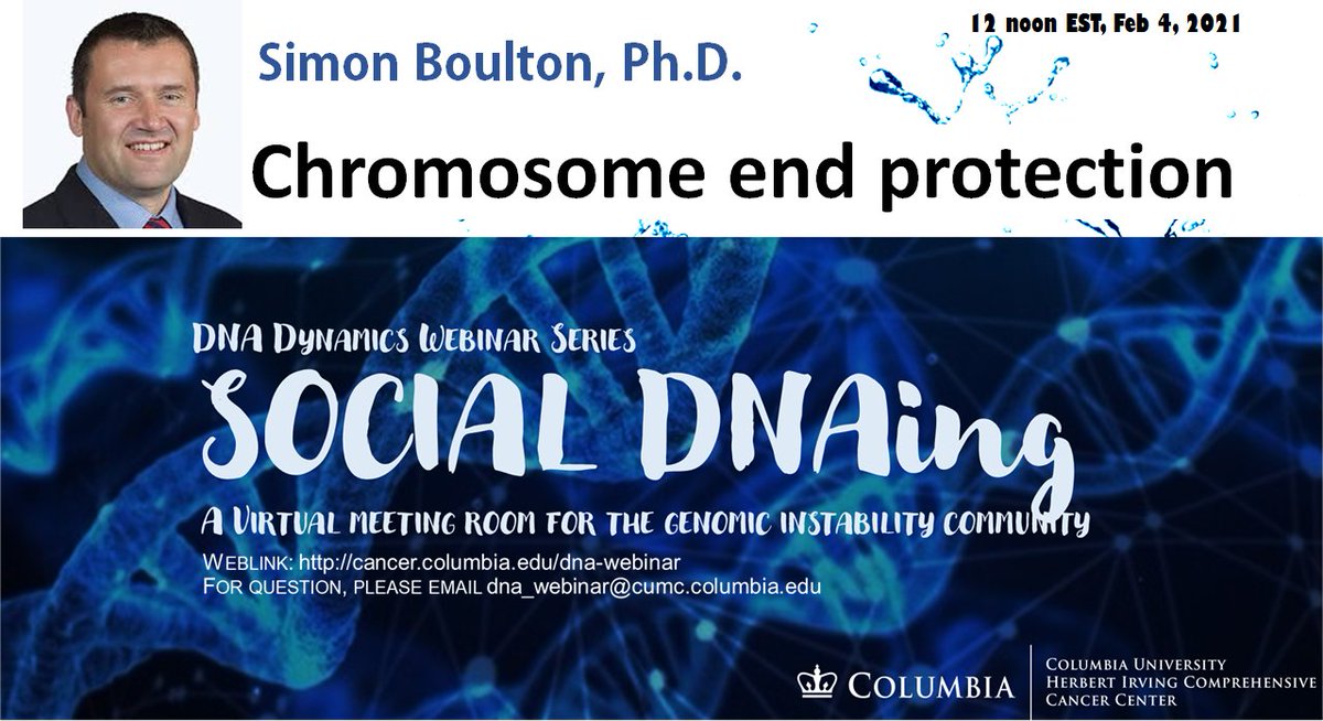 zha_lab's tweet photo. Thank Dr. Patrick Sung to tell us the fine regulation of BRCA2 in HR. This week, Simon will enlighten us on the end-protection mechanism. Pl note the new webinar sign up link from March 1st, 2021, and sign up on the current and future webinars at https://t.co/q9gUMA4WR2 https://t.co/zDOu8pgSJz