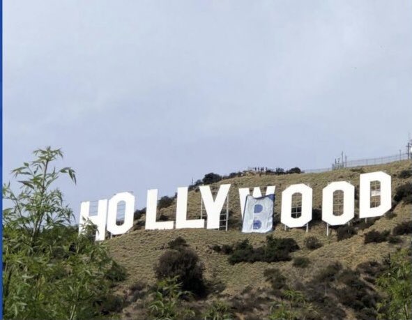 kaykaydewy's tweet photo. hollyweed walked so that hollyboob could run https://t.co/EjTZL5qmVo