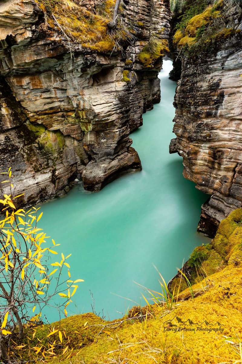 DarcyErtman's tweet photo. Athabasca Canyon #landscapephotography #jaspernationalpark #river #fineart #wallart #darcyertmanphotography #canon_photos #LDdailyphotochallenge #LDPhotolab #albertacanada https://t.co/kGl9g1Dc7c