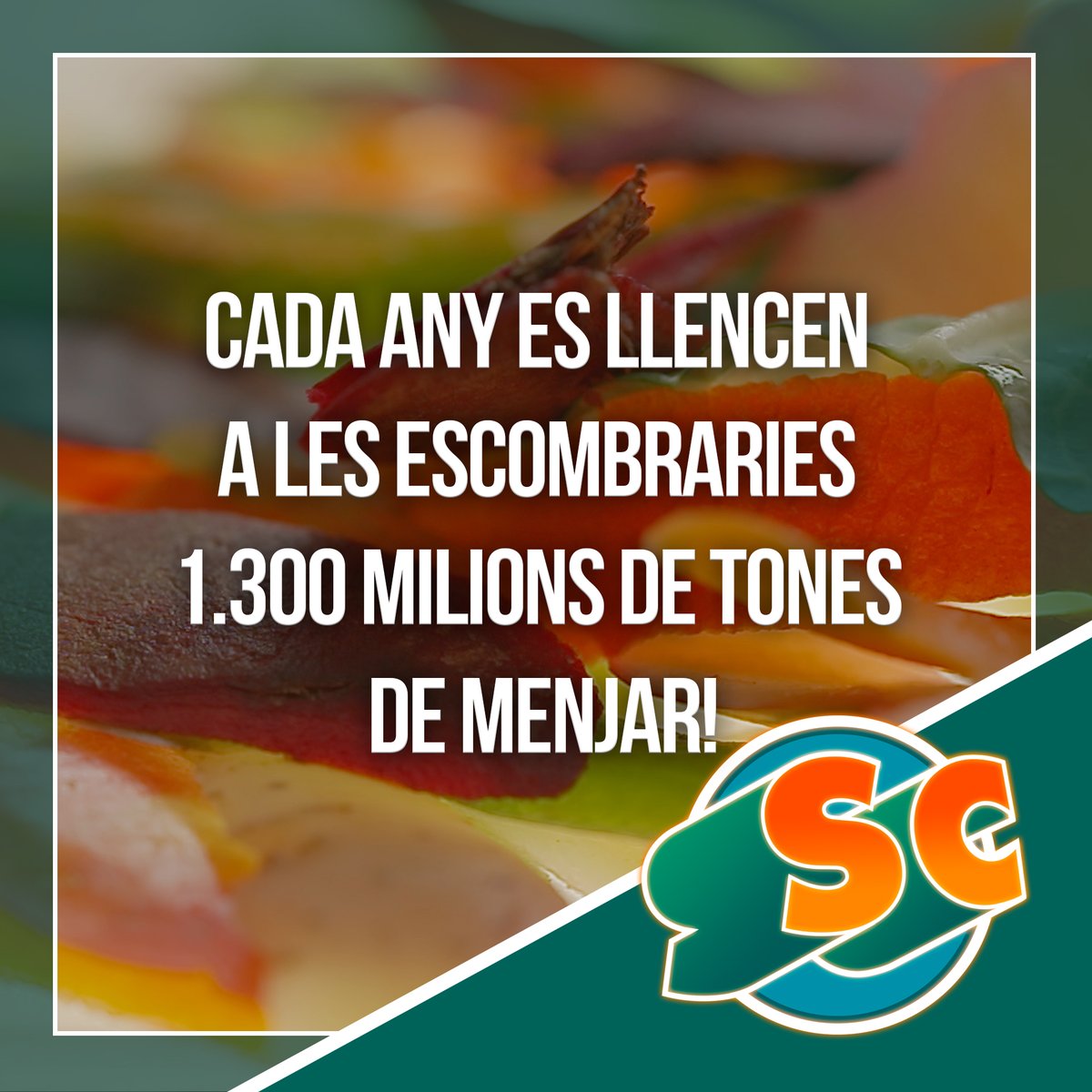 lasupercol's tweet photo. 📢 Cada any es llencen a les escombraries 1.300 milions de tones de menjar!

🙌 Per reduir el malbaratament, és imprescindible que com a ciutadans prenguem iniciatives responsables, com planificar bé la compra i cuinar les racions justes. #SupercolTV3 https://t.co/Dci63Y49li