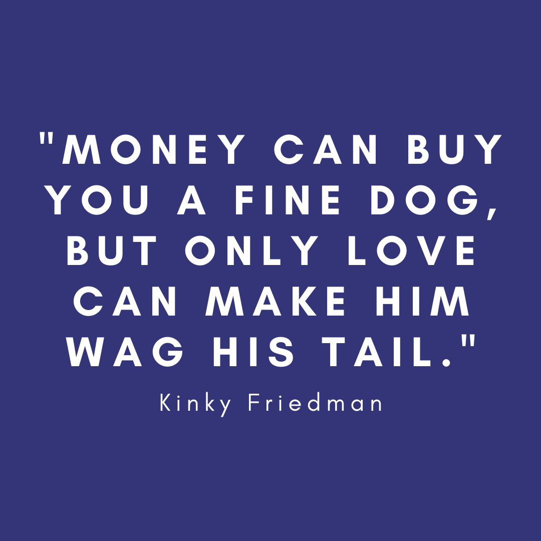holistichounds1's tweet photo. #rawdogfood #rawcatfood #naturaldogtreats #dog #cat #dogfood #catfood #petshop #dogsupplements #dogsofinstagram #catsofinstagram 

#westmidlands #brierleyhill #dudley #halesowen #stourbridge #merryhill #kingswinford

#dogquotes https://t.co/lZ3LCgfY5N