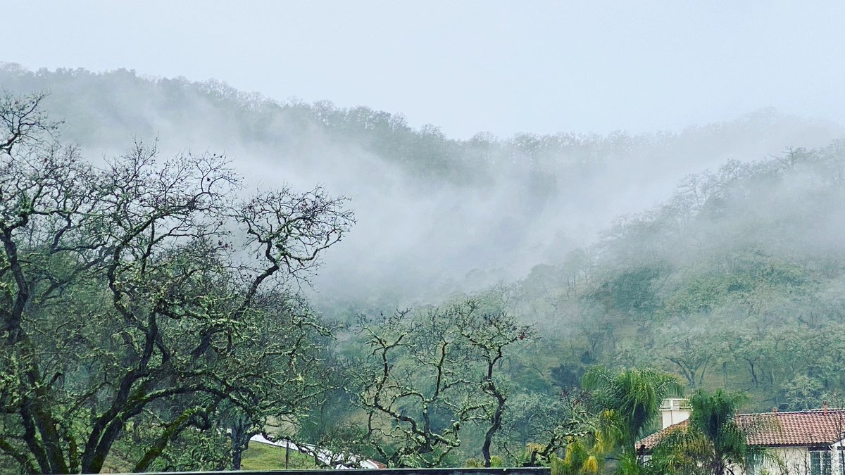 svitale77's tweet photo. My view on this much needed rainy day.  I love being able to work from home. https://t.co/4a1wlF8Mgk