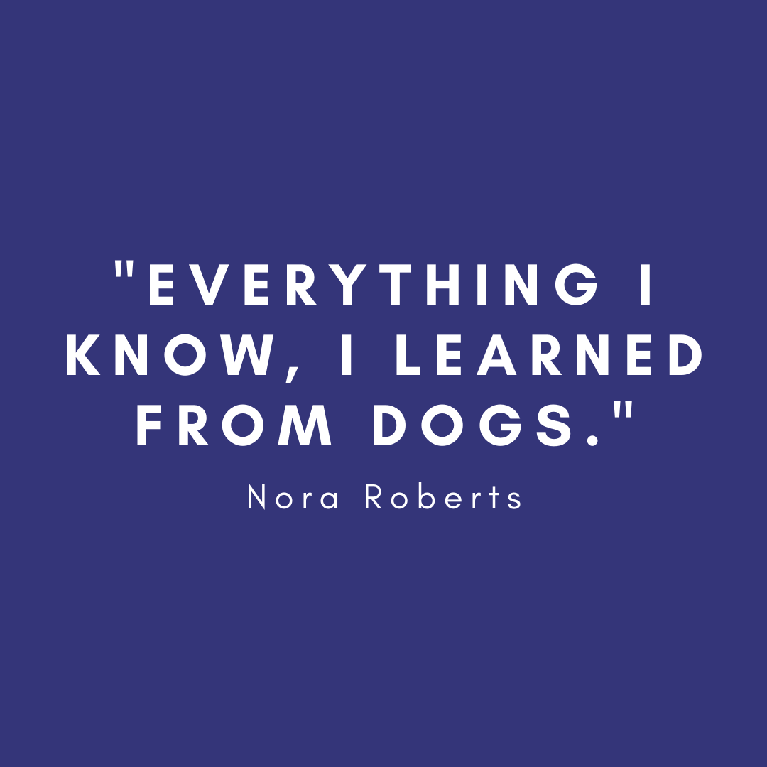 holistichounds1's tweet photo. #rawdogfood #rawcatfood #naturaldogtreats #dog #cat #dogfood #catfood #petshop #dogsupplements #dogsofinstagram #catsofinstagram 

#westmidlands #brierleyhill #dudley #halesowen #stourbridge #merryhill #kingswinford

#dogquotes https://t.co/VbxDXe5koQ