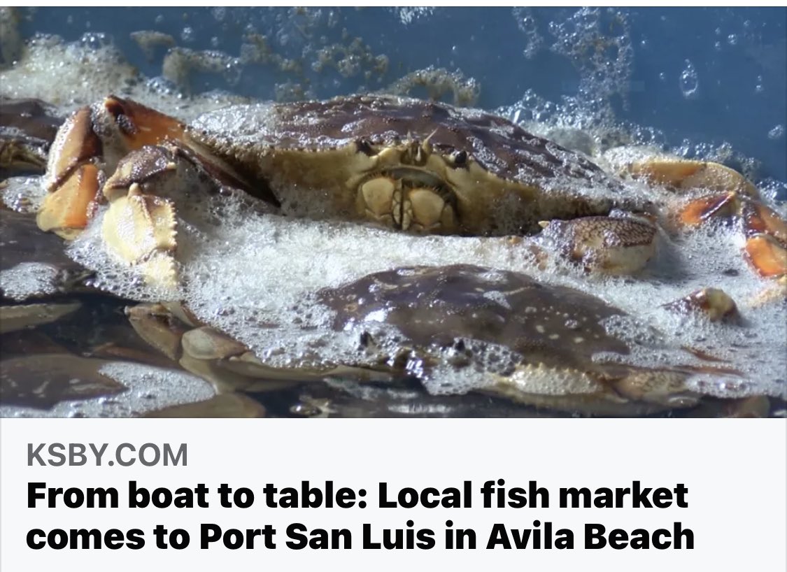 pamadkisson's tweet image. Fresher than fresh local seafood!! #k2TC #BoatToTable #SupportSmallBusiness.  @Keys2theCoast  Link here: 

ksby.com/news/local-new…