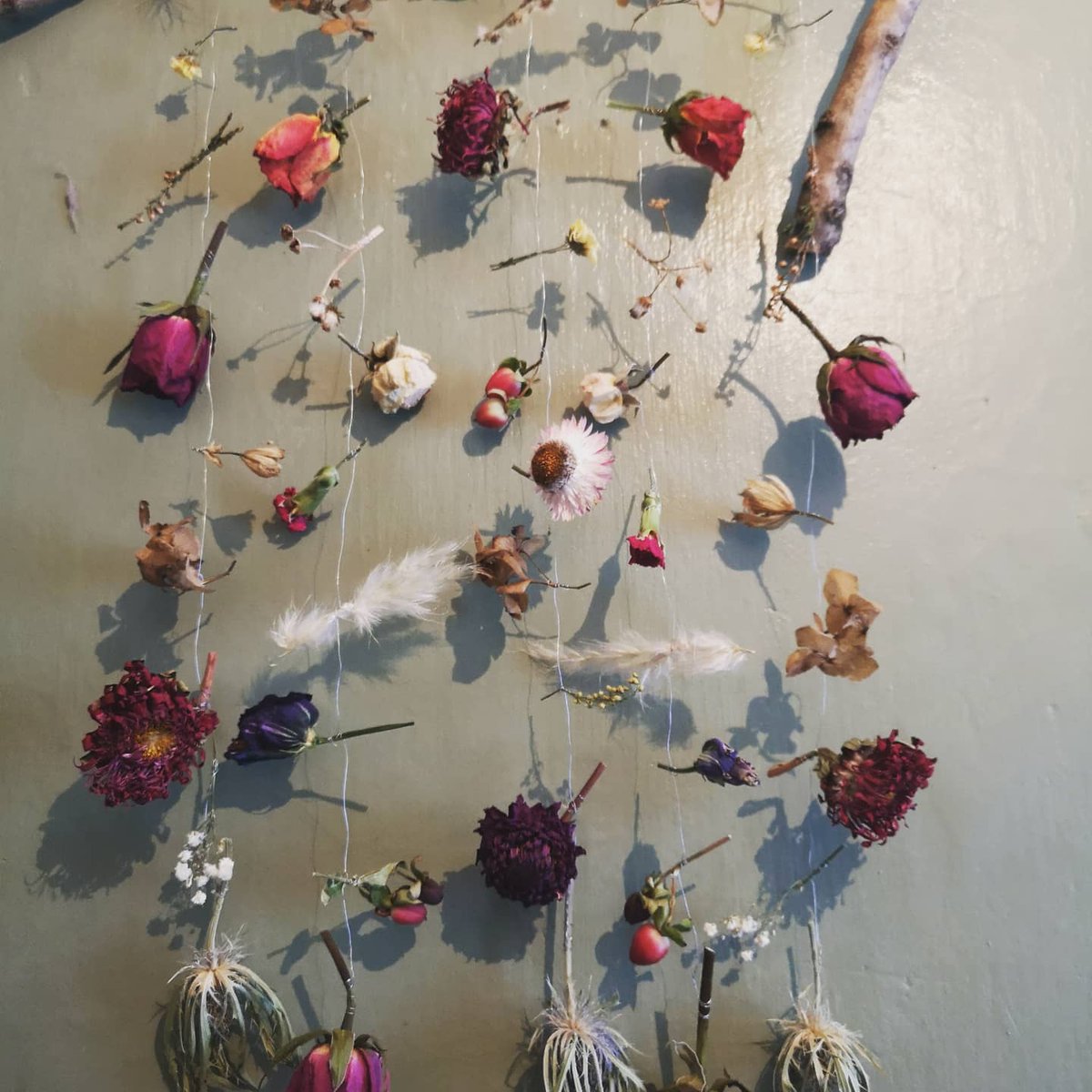 Delicate walls of 'waste' flowers... #Sustainablegifts