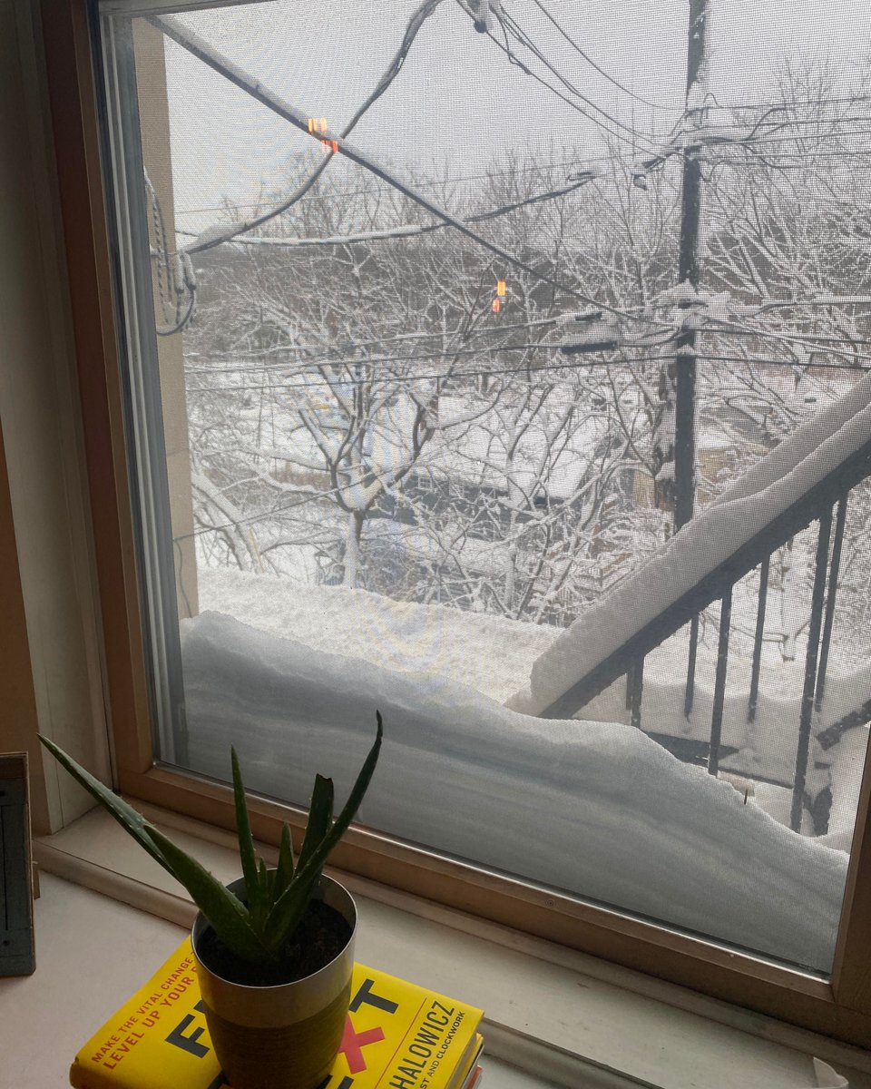 MikeMichalowicz's tweet image. #ProTip When done reading #FixThisNext, use to prop up your succulents and aloe plants to get better sunlight before a beautiful winter wonderland photo op...until the next reading. The circle of life continues. *cue Lion King music🦁