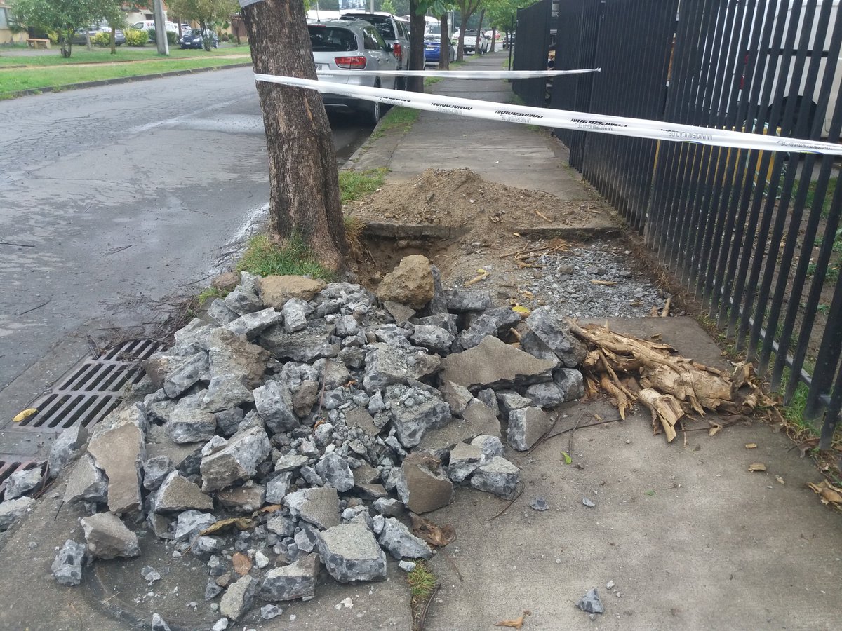 SoniaBaezaB's tweet photo. @Ortizconce @Muni_Concepcion 2 años solicitando poda de árbol y arreglo de vereda y aún nada. A mi vecino le perforaron la vereda el lunes pasado y no han vuelto más, ¿hasta cuando tendremos que seguir esperando?, esto es una burla. https://t.co/OBR2ZDJnFE