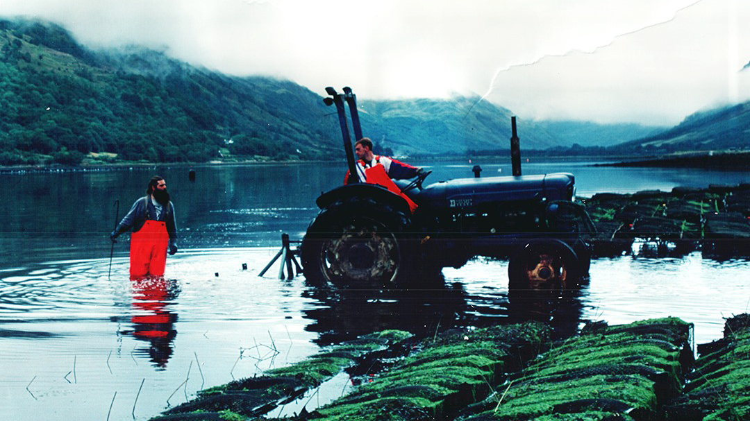 The only oyster farmers in the UK to have their own hatchery and nursery, <a href="/LochFyneOysters/">Loch Fyne Oysters</a> has been growing and selling oysters for 40 years! 🏆

Once fully matured, each #oyster is hand selected and checked for quality before making its way to our restaurants for you to enjoy 🦪