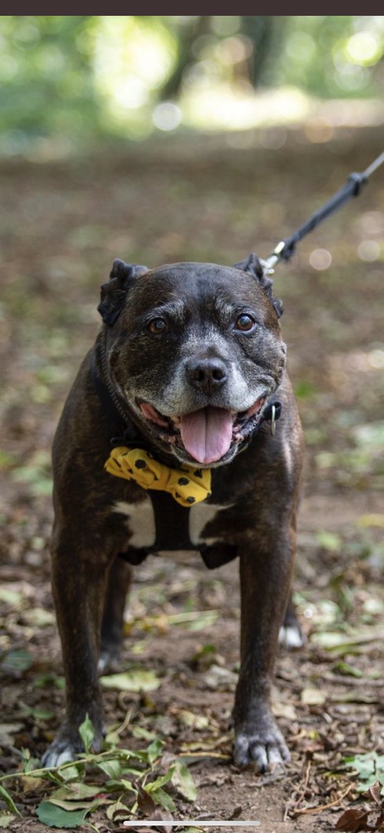 Baby Frank & his teddy, Edward 🧸🏴󠁧󠁢󠁷󠁬󠁳󠁿 tweet media