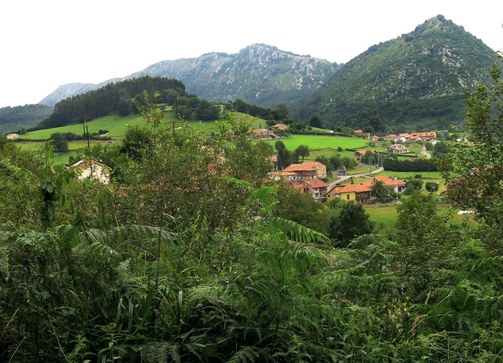 AEPELEscuelas's tweet photo. Nuestros miembros: Hoy te presentamos The Spanish Course una Escuela de español para extranjeros en Cantabria con carácter familiar. Ofrecen cursos de inmersión, aportando a los estudiantes,  enseñanza de español, conocimientos sobre la cultura española y diversas actividades. https://t.co/m6QLwy3UcJ