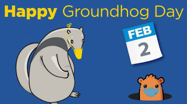 Happy #GroundhogDay Anteaters! 💙💛🐜🍴