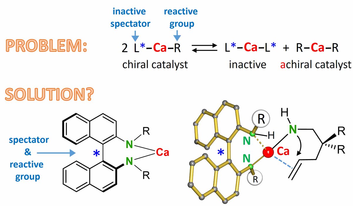 CHIRAL CA-TALYSIS: The problem with chiral Ca catalysts are  the long, highly ionic Ca-ligand bonds. This leads to rapid ligand exchange which spoils any enantioselectivity! We thought we had a solution but nature is smarter…. #maingroupchemistry See: pubs.rsc.org/en/content/art…