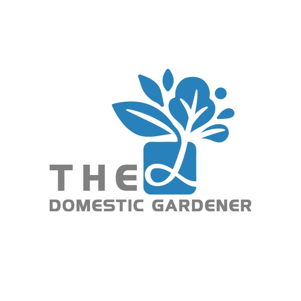 shahin48405849's tweet photo. A Logo is the face of your brand which is as equally important as the success of your business.I can help you.Check my gig:
https://t.co/wxjNmVvmhJ
#FASHION #FelizMiercoles #dogecoin #dogecointo1dollar #TrumpGoneModiNext #Ethereum #gregorellli #PowerUpWithRedmi9T #Prabhas #Trump https://t.co/vg9rke9ygS