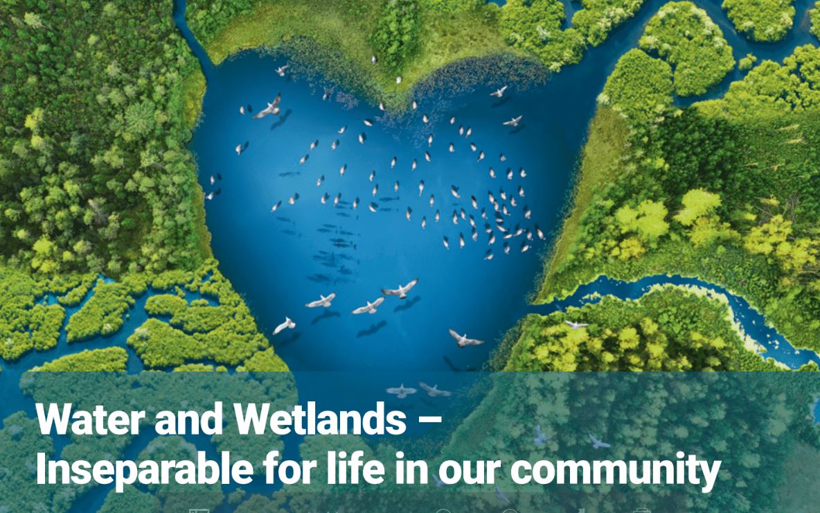 Did You Know? February 2nd is #WorldWetlandsDay! We know, it's also Groundhog Day. But since Wiarton Willie &amp; Shubenacadie Sam are predicting 6 more weeks of winter, AND this year marks 50 yrs since the signing of #RamsarConvention, let's celebrate our amazing #WetlandsandWater!
