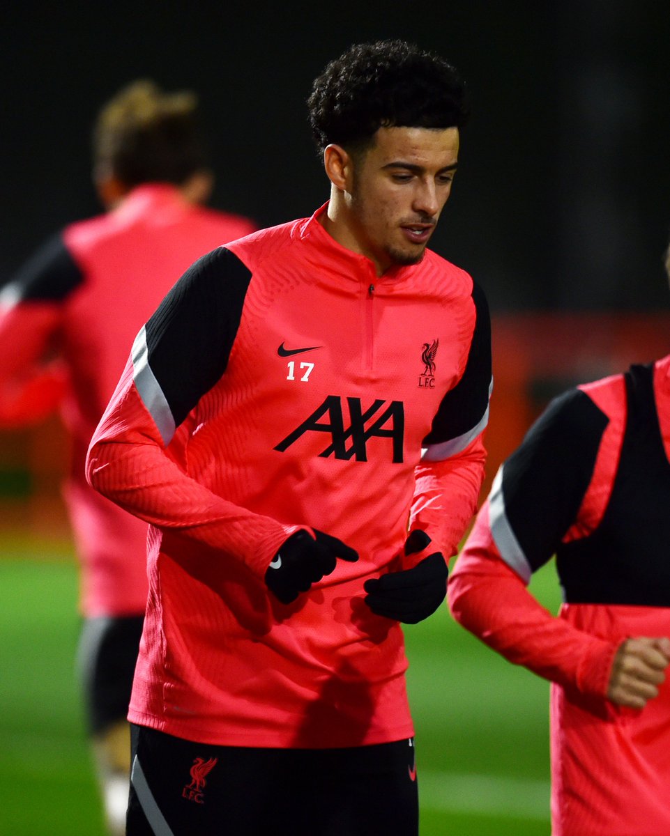 liverpool crimson training top