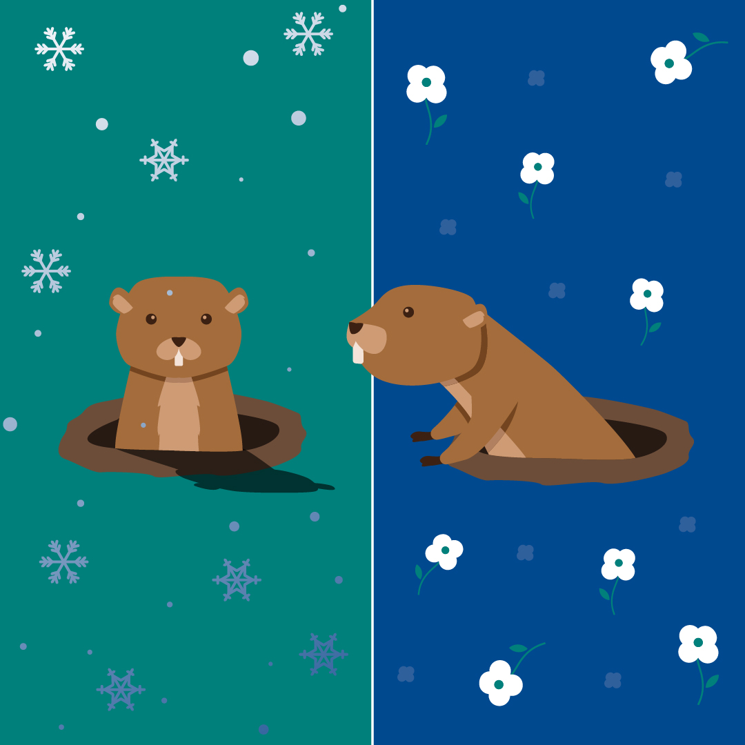 Happy #GroundhogDay! Punxsutawney Phil may have seen his shadow, but what would have happened if you could choose?

☀️ No shadow - Ready for fun in the sun  
❄️ Shadow - Still in winter hibernation mode 

Let us know in the comments with the corresponding emoji!