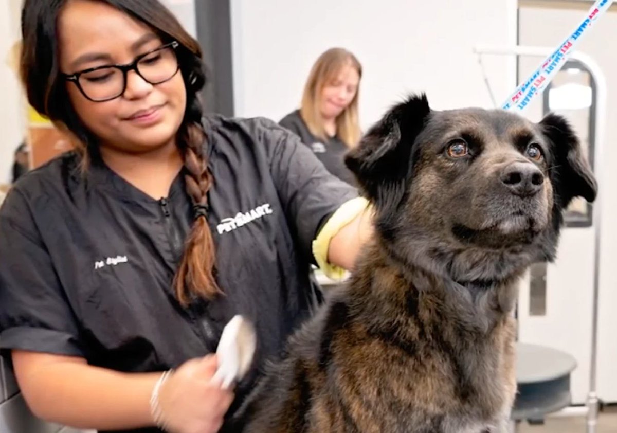 Are you ready to love your career like Jessica does? Apply at Careers.Petsmart.com  bit.ly/3oJfpEh