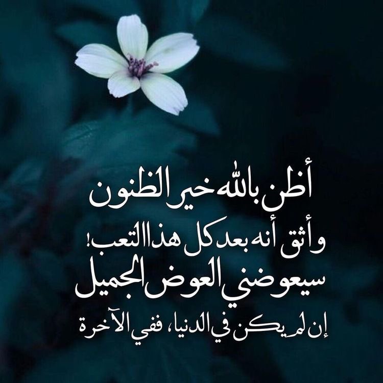 aba_dy_'s tweet photo. أظن #بالله خير الظنون وأثق أنه بعد كل تعب #سيعوضني العوض #الجميل ، إن لم يكن في #الدنيا ، ففي #الآخرة 💛. https://t.co/dLNUPUdOJH