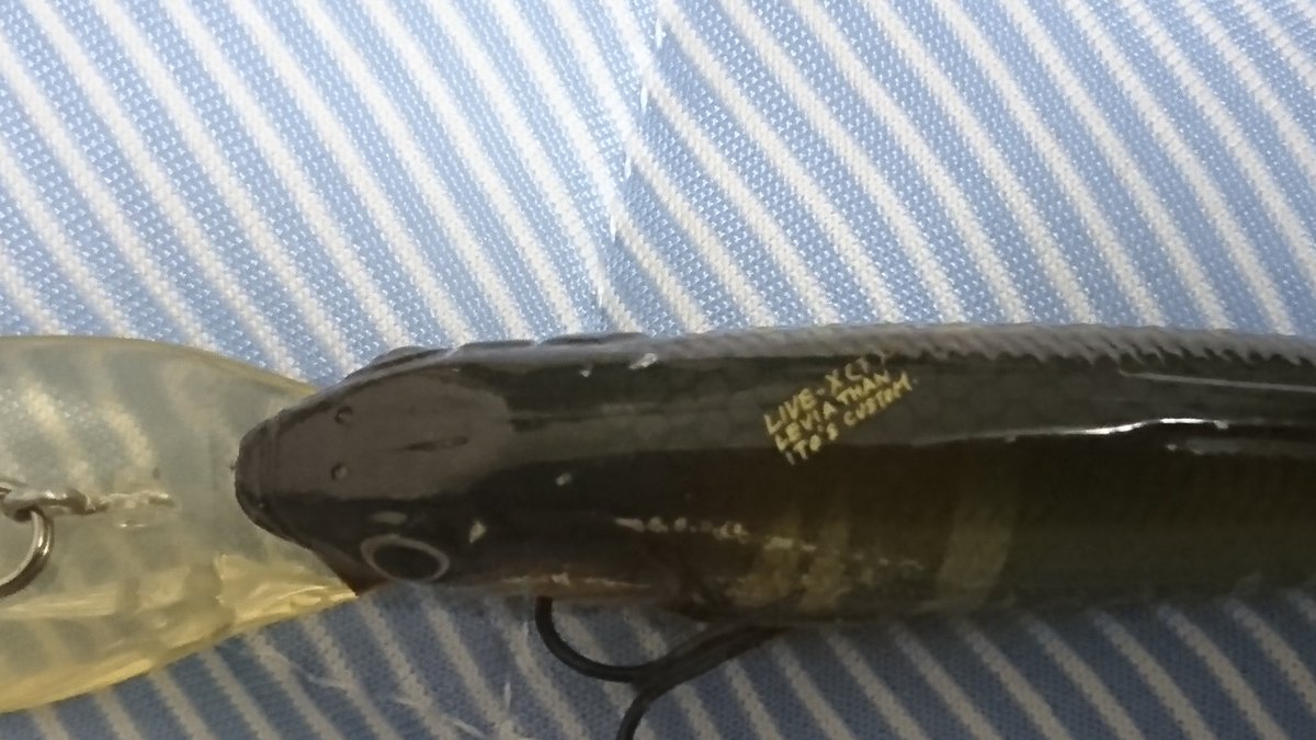 リヴァイアサン 最新情報まとめ みんなの評価 レビューが見れる ナウティスモーション 5ページ目