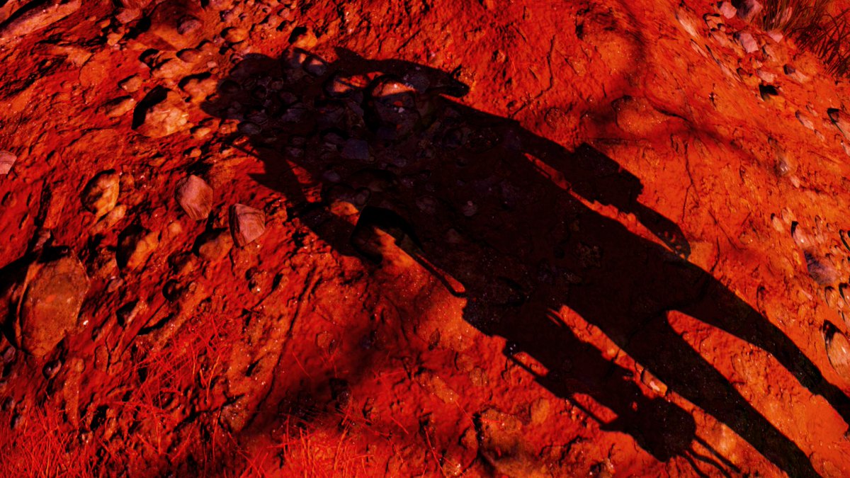 clownshoespoet's tweet photo. Lookit! 

"I thought the most beautiful thing in the world must be shadow."

#Plath 

#Fallout! #Fallout76! #F76Abstract! https://t.co/fR3vwXphUW