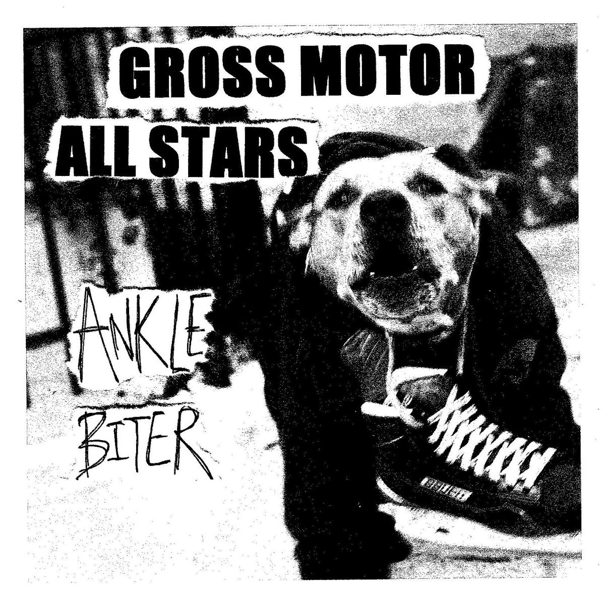 Here’s our first track, Ankle Biter; off our record “The Neighborhood” which will be out in 2 weeks on 2/16.

Streaming everywhere now ditto.fm/ankle-biter