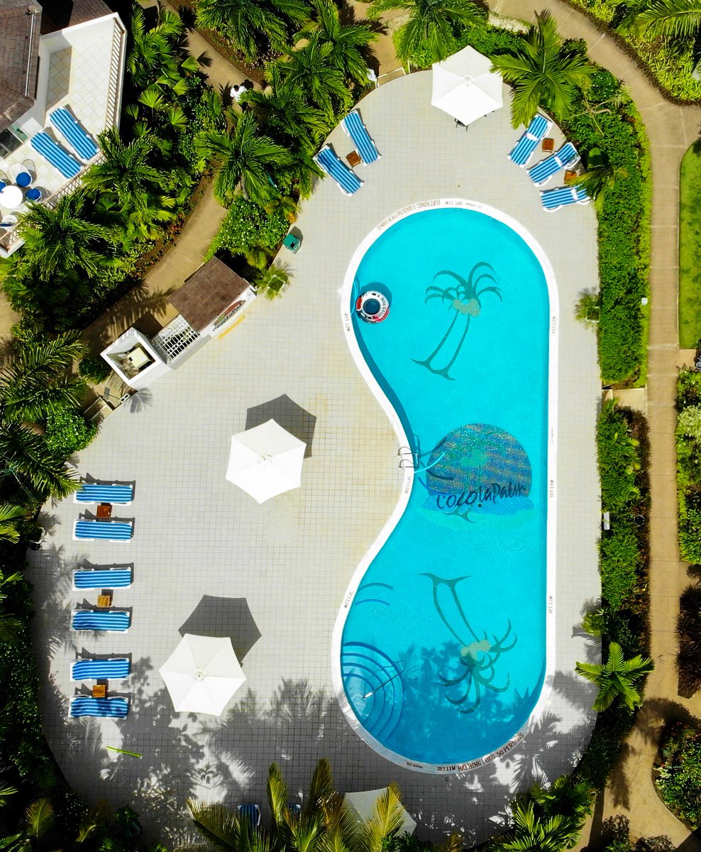 CocoLaPalm's tweet photo. Does anyone recognize this lovely view? Relax and unwind in style in the courtyard pool surrounded by nature. 

#Nature #CocoLaPalmHotel #Funinthesun
#Relaxation #Courtyardpool #Vacay https://t.co/8ckAvBTFgL